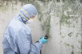 Best Environmental Consulting for Mold Prevention in Chicago, IL